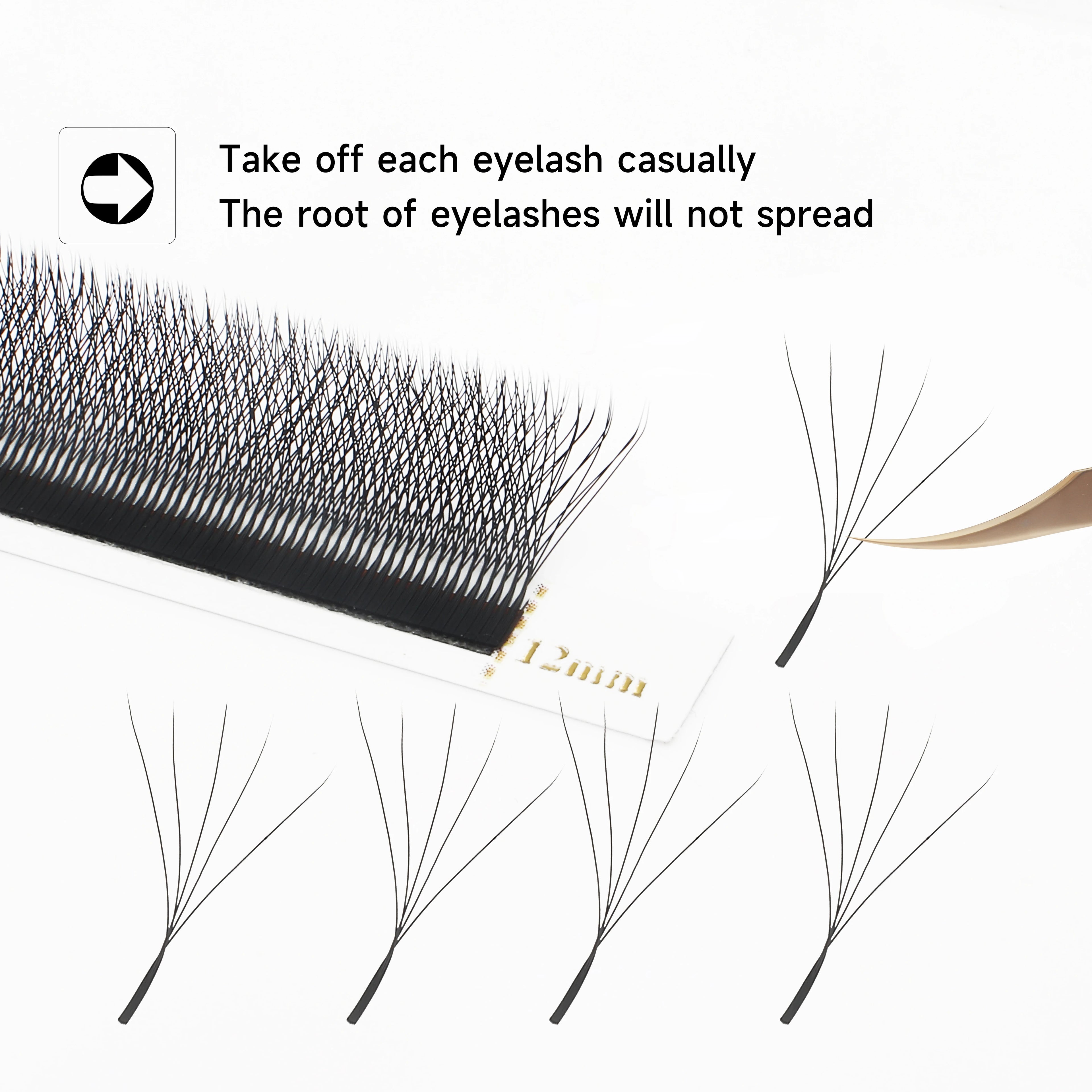 LashBloom