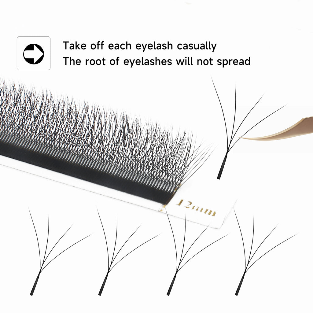 LashBloom
