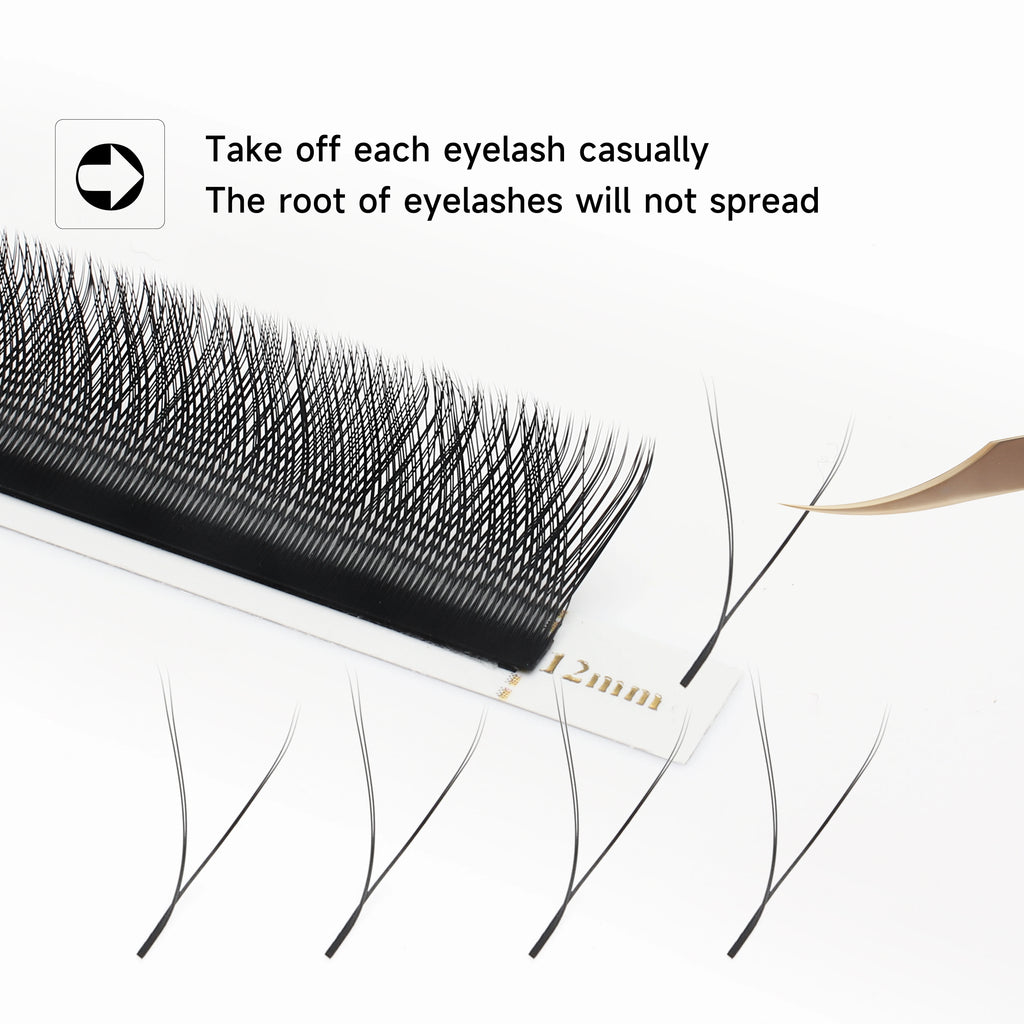 LashBloom