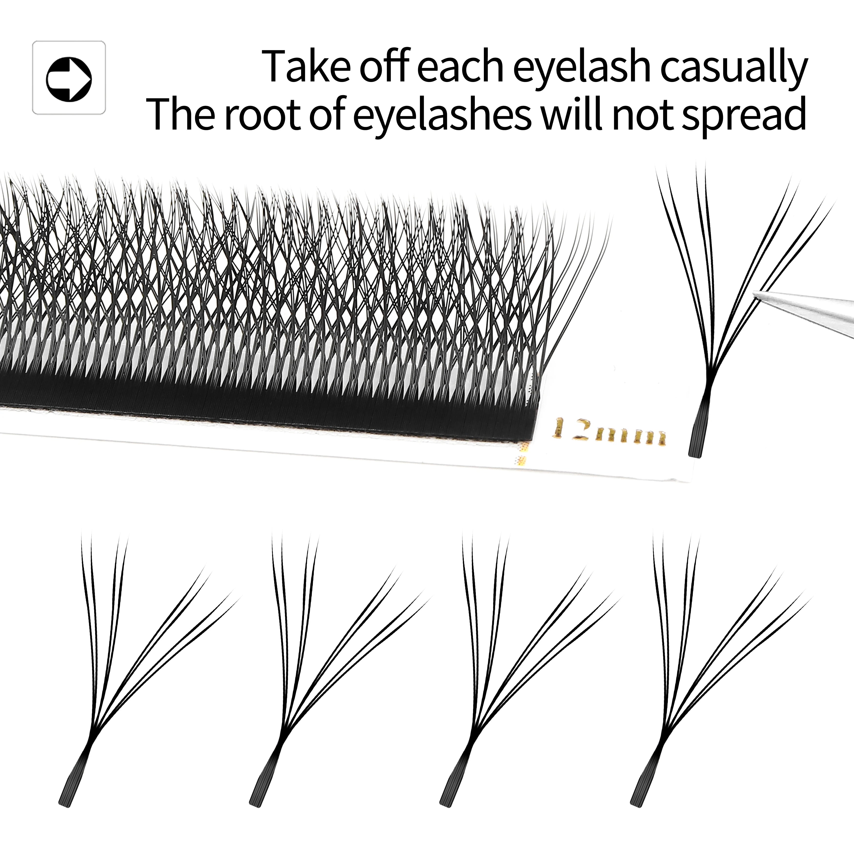 LashBloom