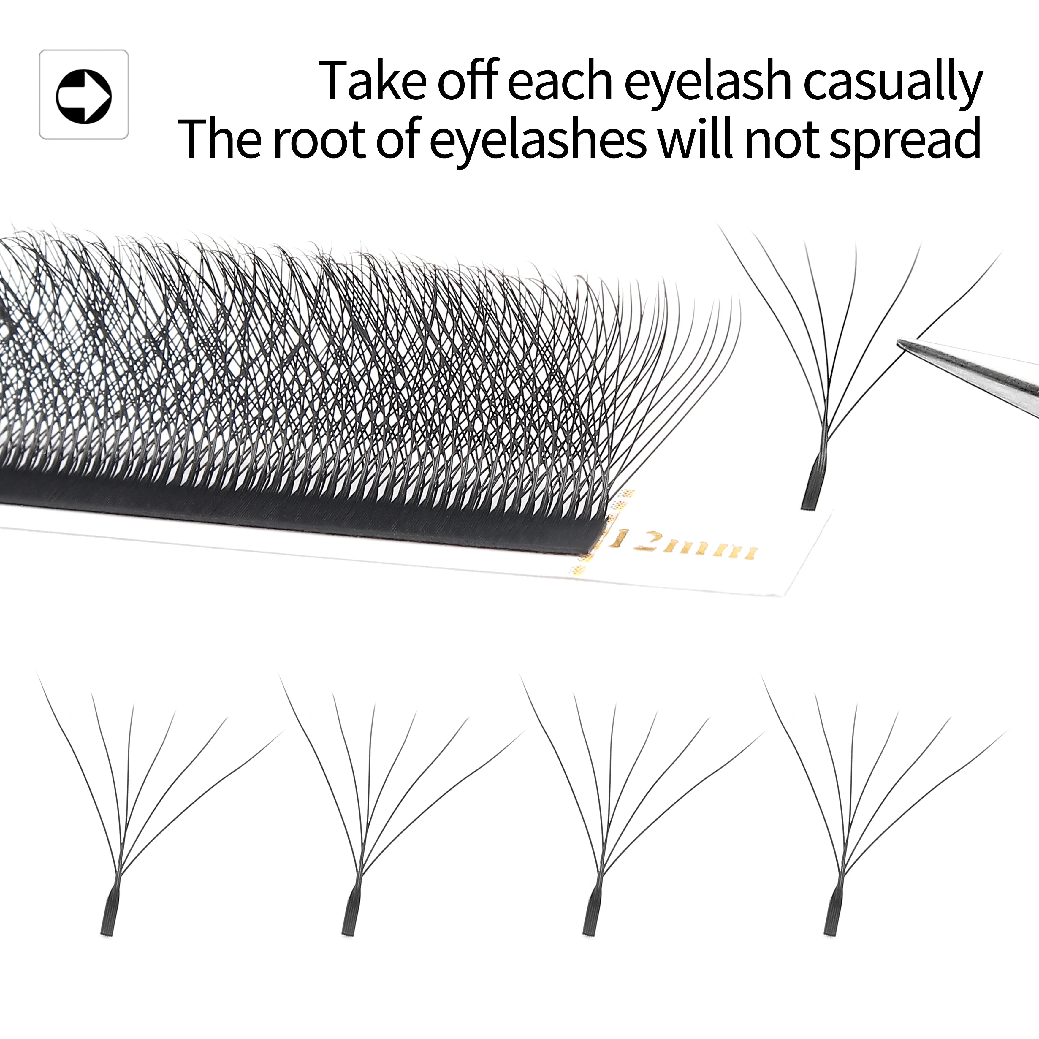 LashBloom