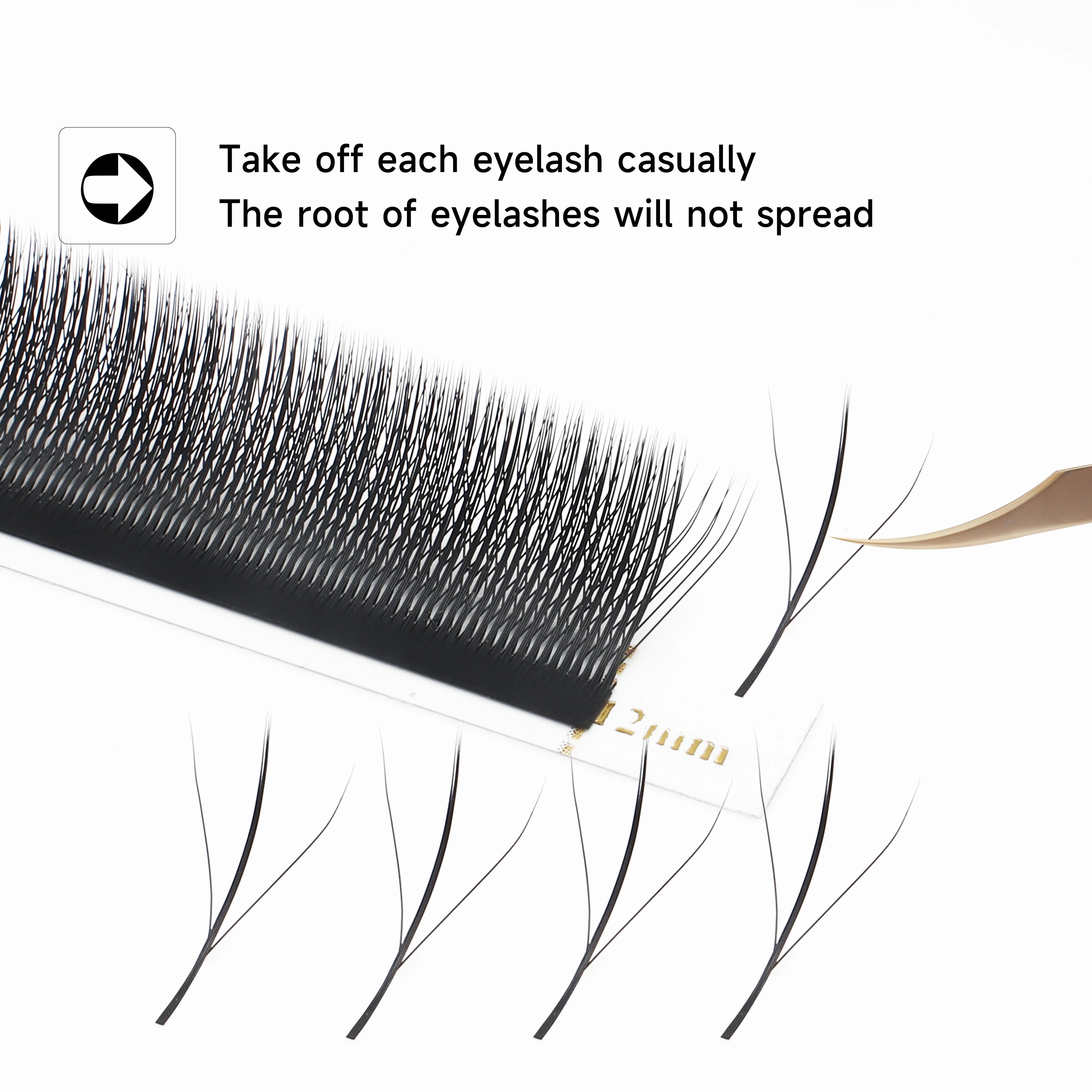 LashBloom