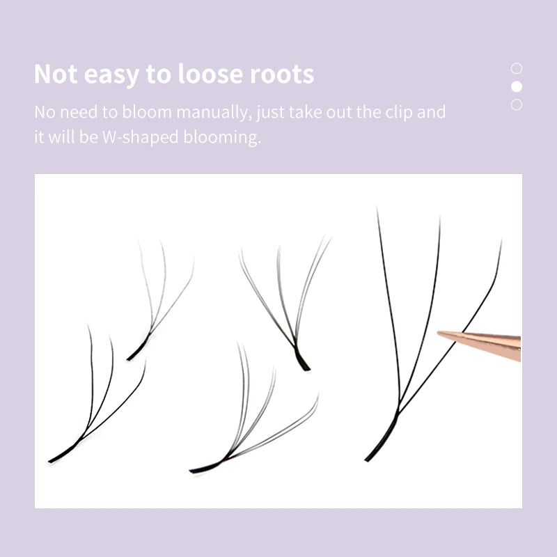 LashWave