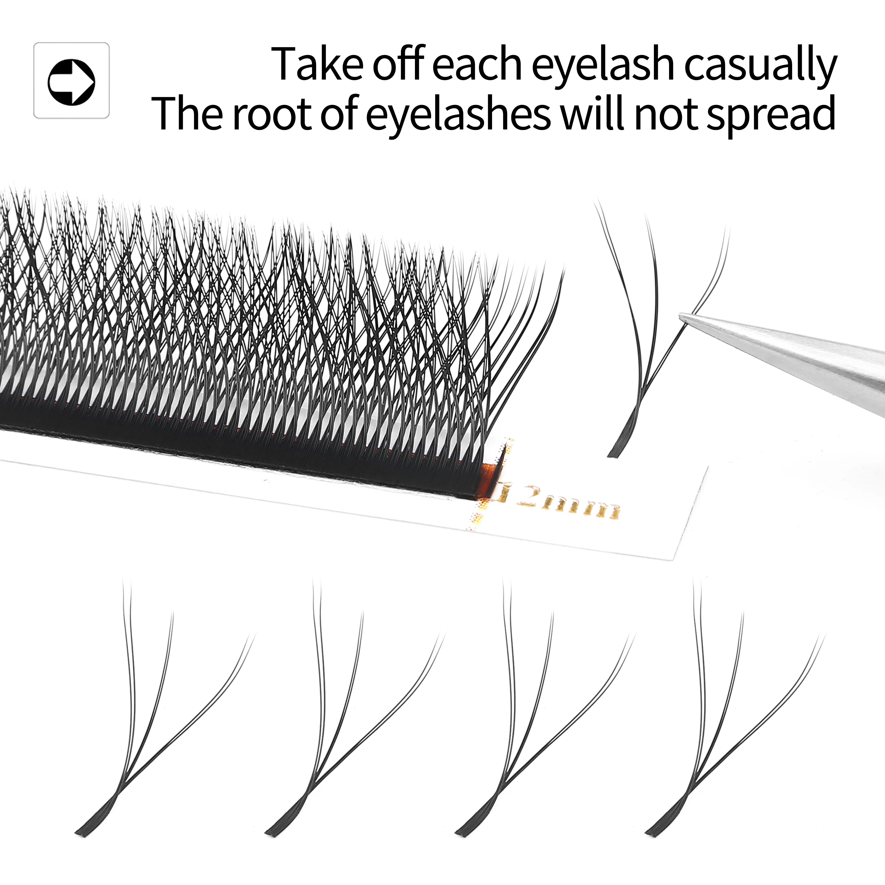 LashBloom