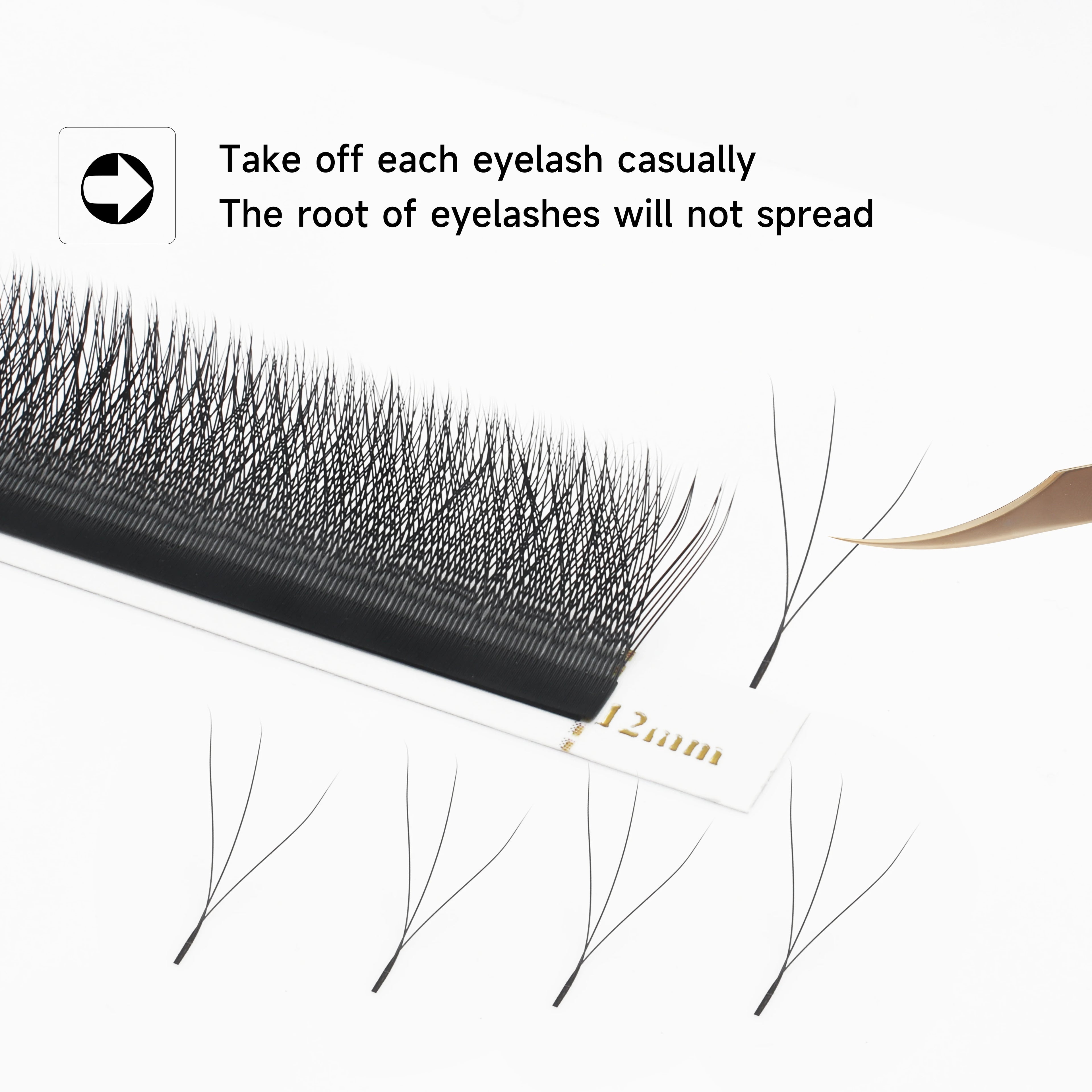 LashBloom