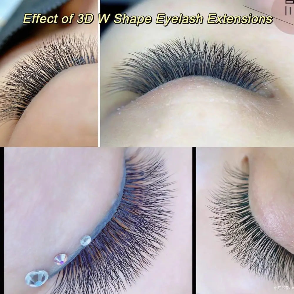LashBloom
