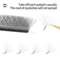 LashBloom