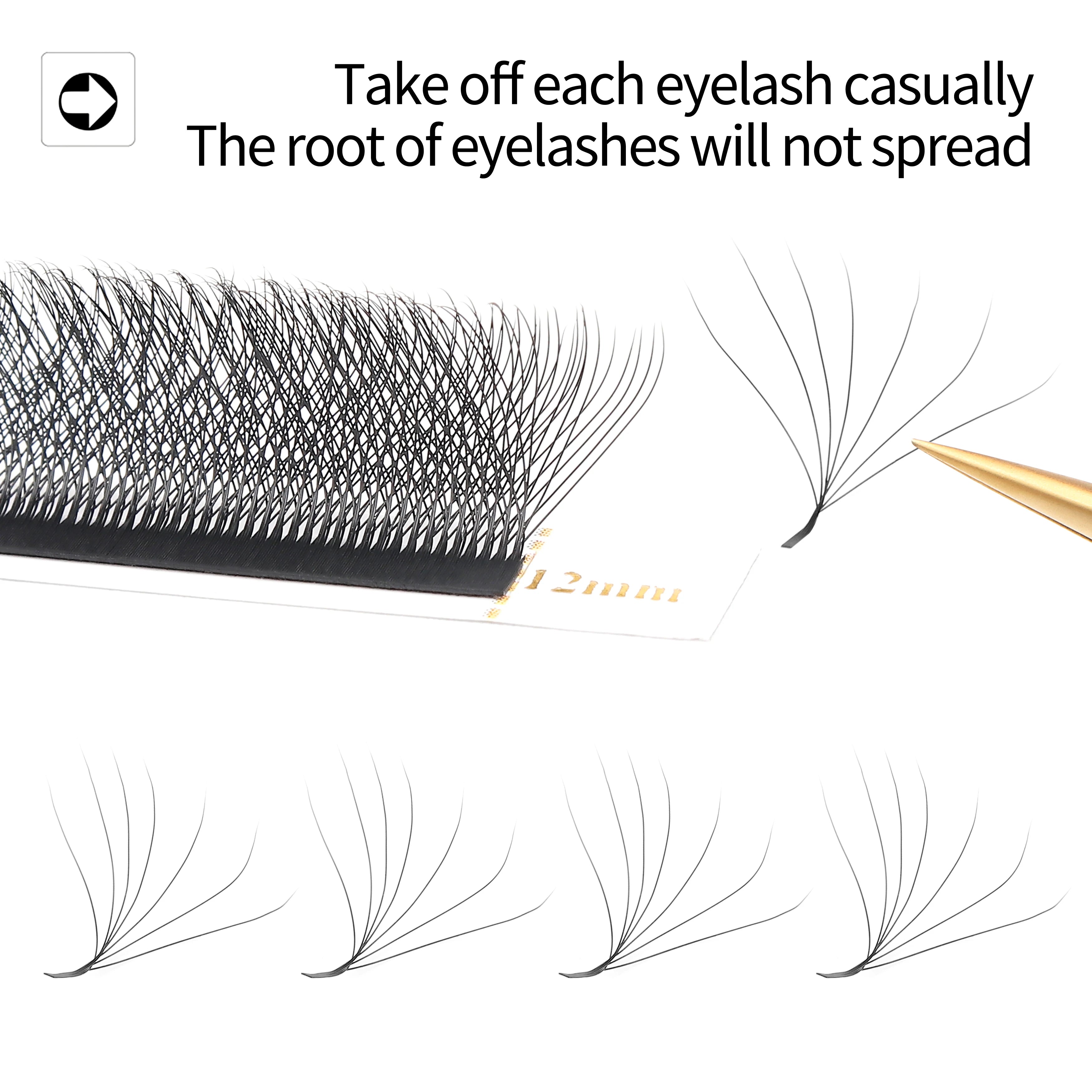LashBloom
