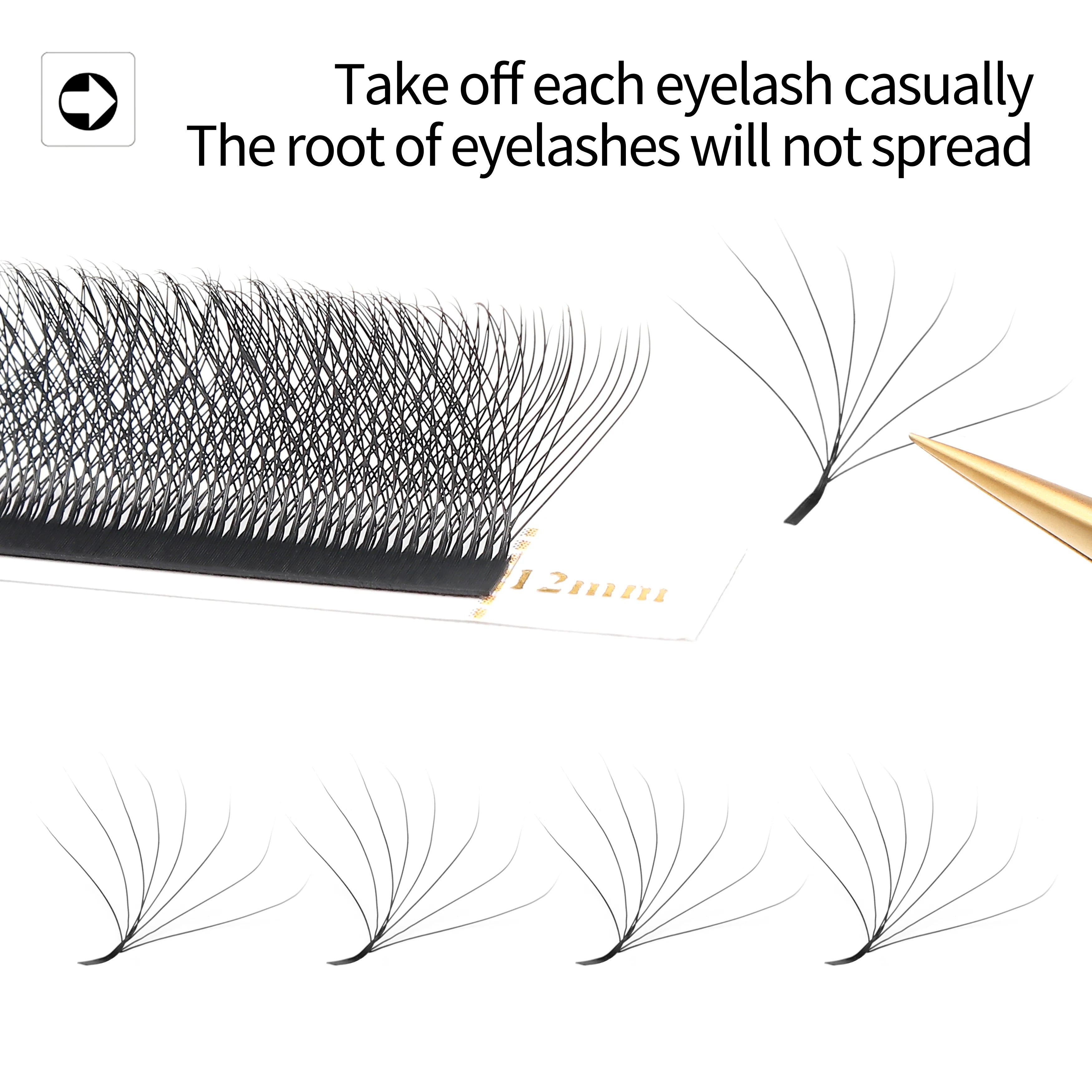 LashBloom